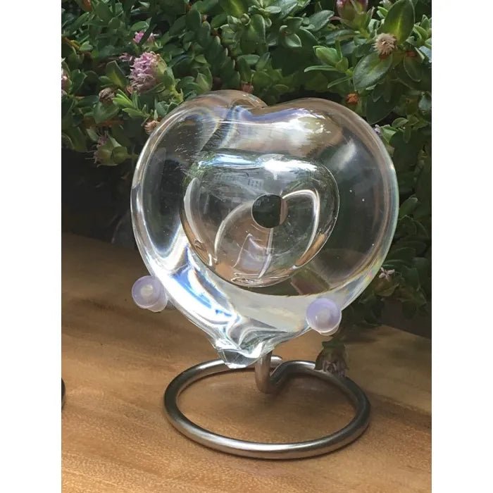 PEBBLE HEART – Transparant 20ml - Memoriva