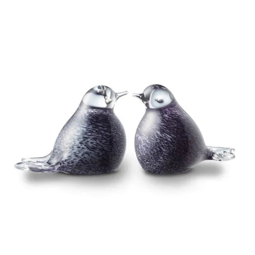 BIRD - Black-White Melange 30ml