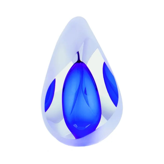 PREMIUM – Reflection Blue traan 70ml