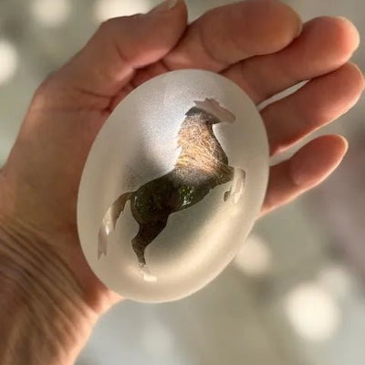 PEBBLE Ovaal Frosted – Transparant met Steigerend Paard - Memoriva