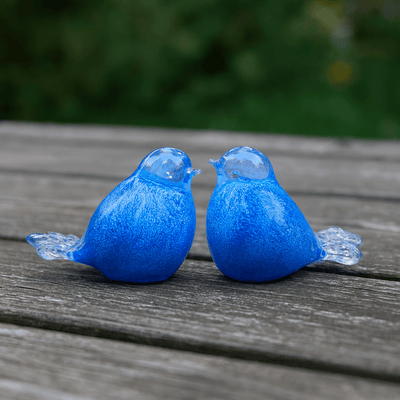 BIRD BLUE - WHITE - Kristalglas 30ml - Memoriva