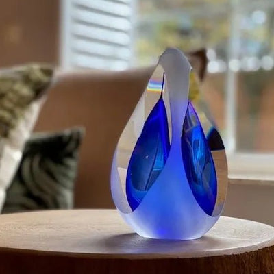 PREMIUM – Reflection Blue traan 70ml - Memoriva