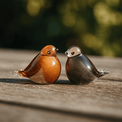 BIRD BROWN - ORANGE - Kristalglas 30ml - Memoriva