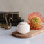 KORA - Beige Engobe 50 ml - Memoriva