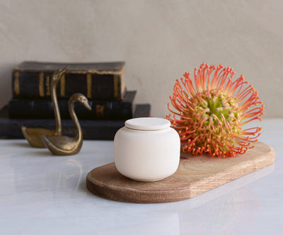 KORA - Beige Engobe 50 ml - Memoriva