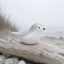 BIRD IRIS | Grijsblauw - Wit 30ml - Memoriva