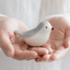BIRD IRIS | Grijsblauw - Wit 30ml - Memoriva
