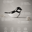 BIRD JAN | Zwart - Wit 30ml - Memoriva