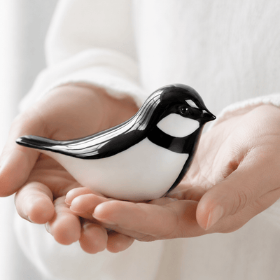 BIRD JAN | Zwart - Wit 30ml - Memoriva