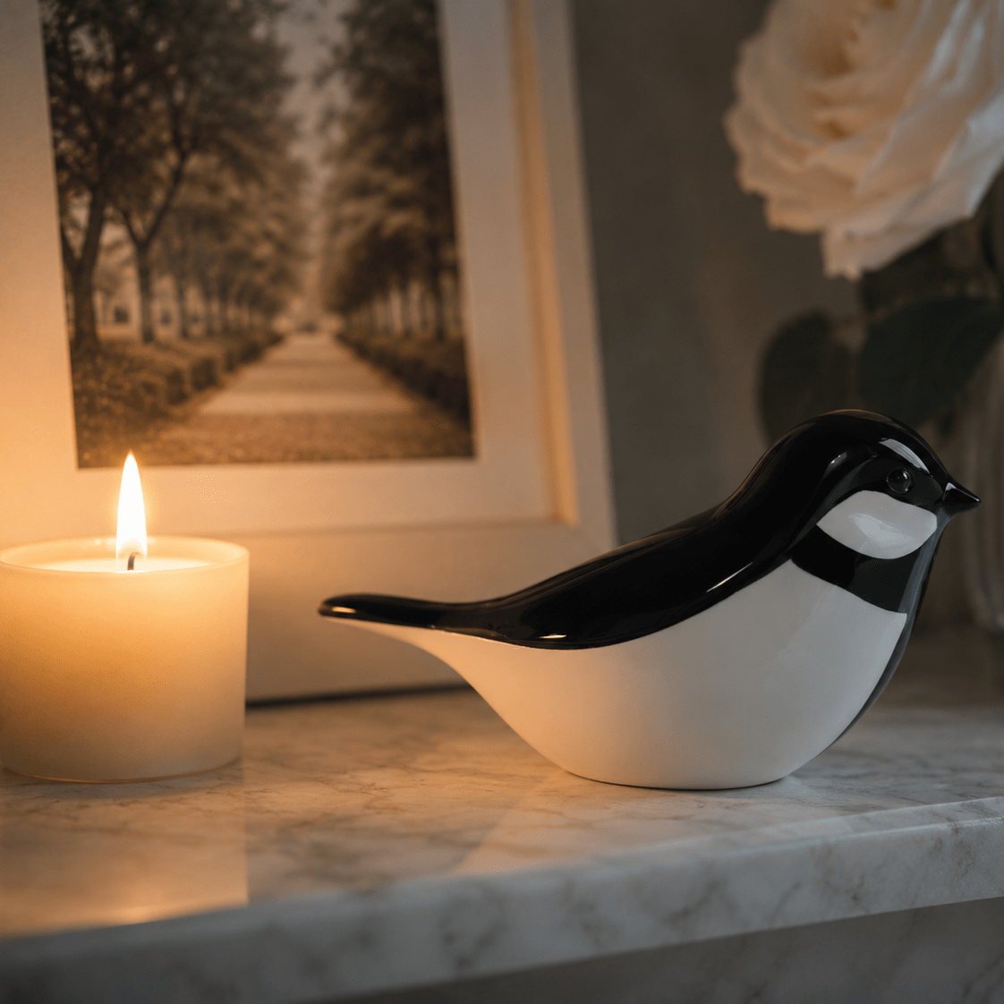 BIRD JAN | Zwart - Wit 30ml - Memoriva