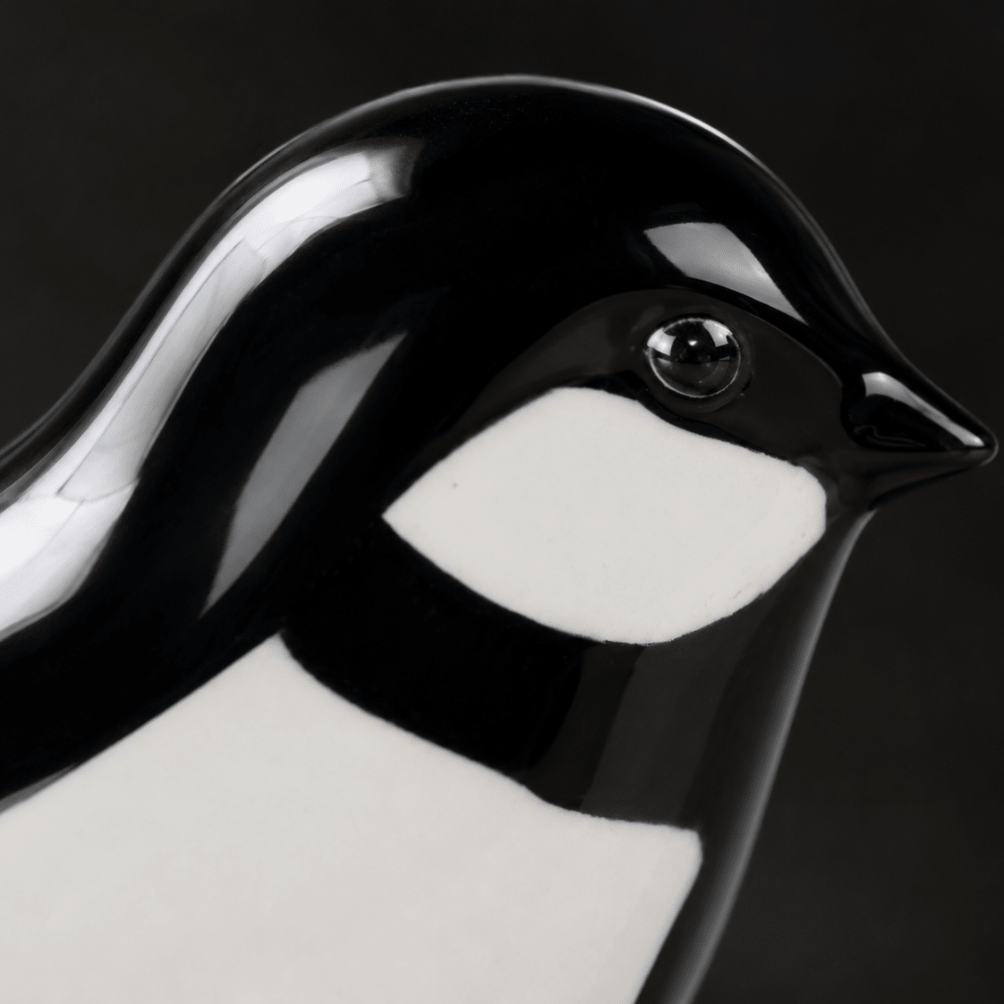 BIRD JAN | Zwart - Wit 30ml - Memoriva