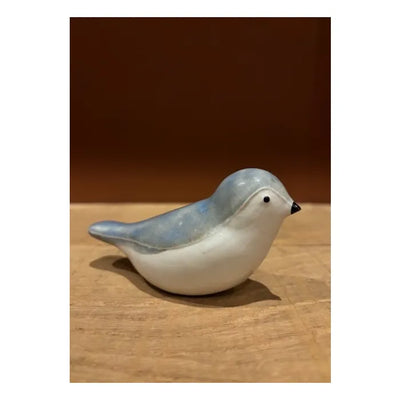 BIRD IRIS | Grijsblauw-Wit 30ml
