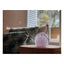 Stardust Bulb | Transparant Roze 100ml