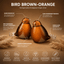 BIRD BROWN - ORANGE - Kristalglas 30ml - Memoriva