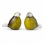 BIRD - Nature 30ml - Memoriva