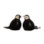 BIRD - Brown-White-Black 30ml