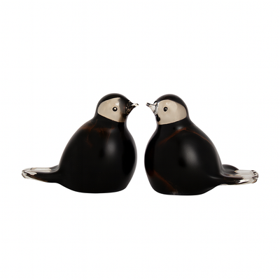 BIRD - Brown-White-Black 30ml