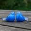 BIRD BLUE-WHITE - Kristalglas 30ml