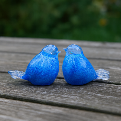 BIRD BLUE-WHITE - Kristalglas 30ml