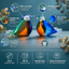 BIRD - Blue - White - Green - Brown - Orange 30ml - Memoriva