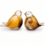 BIRD BROWN - YELLOW - WHITE - Kristalglas 30ml - Memoriva